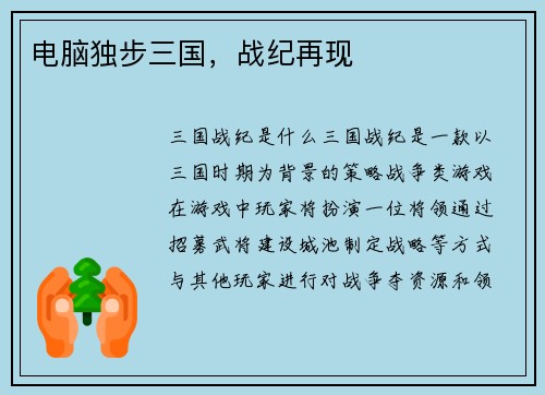 电脑独步三国，战纪再现